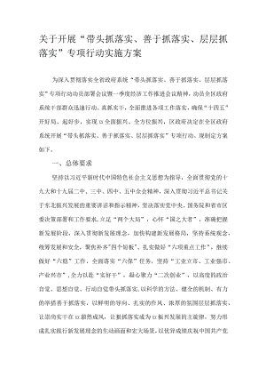 关于开展“带头抓落实、善于抓落实、层层抓落实”专项行动实施方案.docx