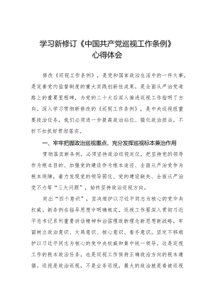 2024版新修订《中国共产党巡视工作条例》学习体会研讨发言稿十四篇.docx