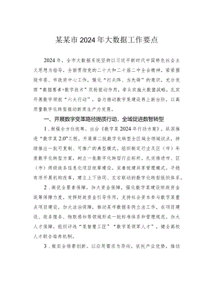 某某市2024年大数据工作要点.docx