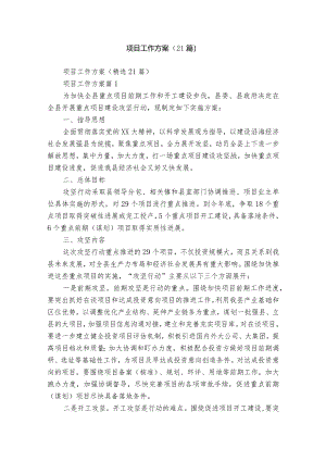 项目工作方案（21篇）.docx