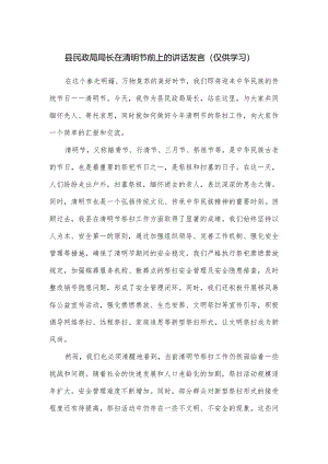 县民政局局长在清明节前上的讲话发言.docx