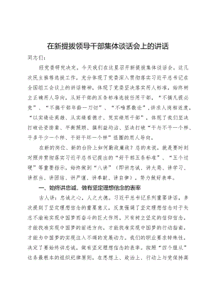 在新提拔领导干部集体谈话会上的讲话.docx