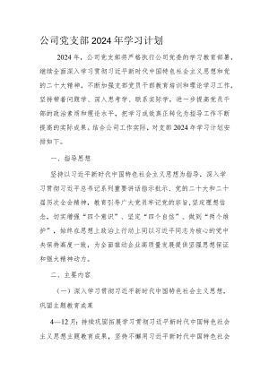 公司党支部2024年学习计划.docx