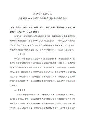 关于开展2024年黄河禁渔期专项执法行动的通知（2024年）.docx