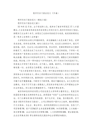 程序员实习报告范文（3篇）.docx