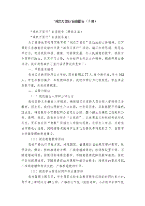 “减负万里行”自查报告（3篇）.docx