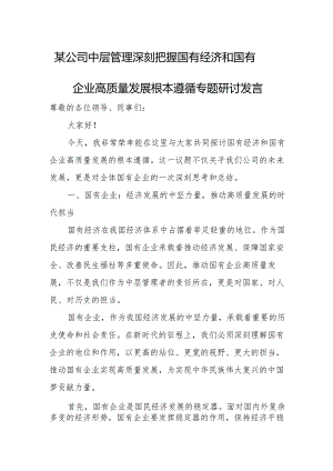 某公司中层管理深刻把握国有经济和国有企业高质量发展根本遵循专题研讨发言.docx
