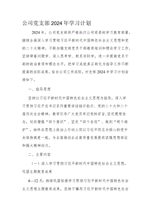 公司党支部2024年学习计划.docx