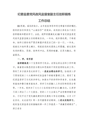 纪委监委党风政风监督室副主任挂职锻炼工作总结.docx