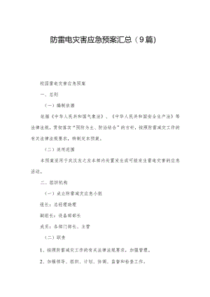 防雷电灾害应急预案汇总(9篇).docx