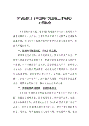 七篇巡察干部学习2024新修订中国共产党巡视工作条例心得体会.docx