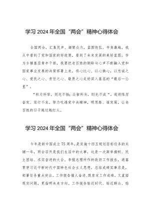 学习2024年全国“两会”精神的心得体会范文33篇.docx