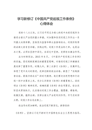学习2024版新修订《中国共产党巡视工作条例》心得体会十四篇.docx