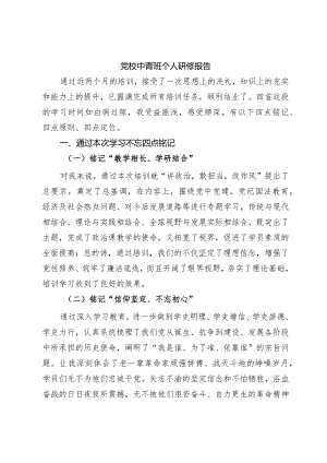 党校中青班个人研修报告.docx
