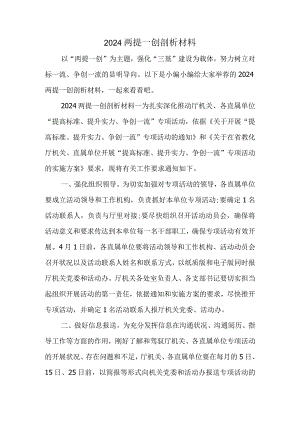 2024两提一创剖析材料.docx