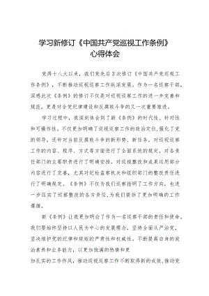 七篇巡察干部学习2024版新修订《中国共产党巡视工作条例》心得体会.docx