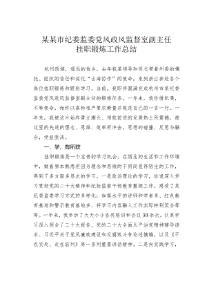 某某市纪委监委党风政风监督室副主任挂职锻炼工作总结.docx