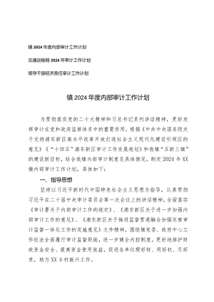 （3篇）镇交通运输局2024年度内部审计工作计划.docx