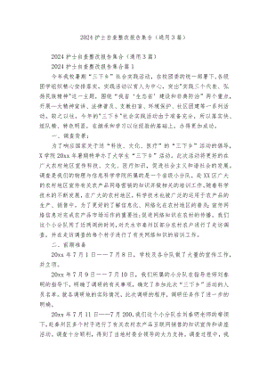 2024护士自查整改报告集合（通用3篇）.docx
