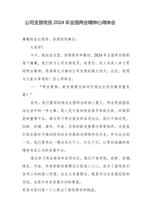 公司支部党员2024年全国两会精神心得体会.docx