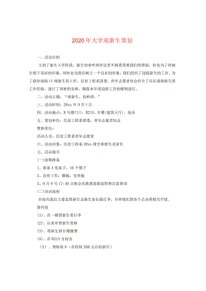 2024年大学迎新生策划.docx