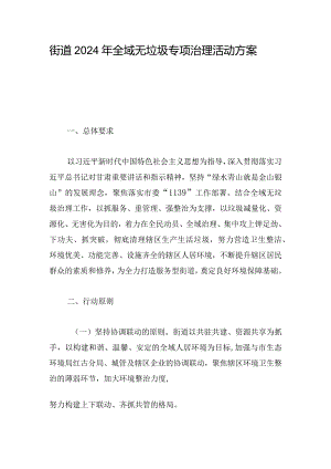 街道2024年全域无垃圾专项治理活动方案.docx