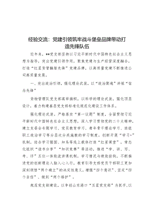 经验交流：党建引领筑牢战斗堡垒品牌带动打造先锋队伍&2024年某省委农村工作会议讲话提纲.docx