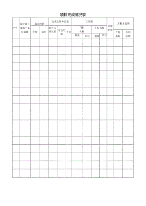 项目完成情况表.docx