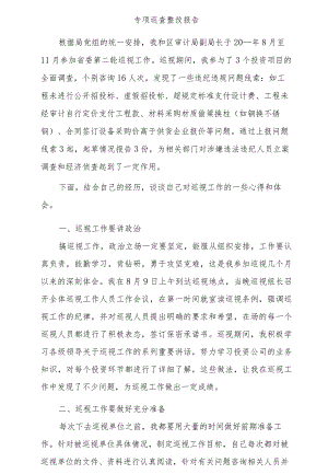 专项巡查整改报告.docx