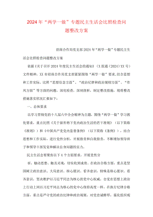 2024年“两学一做”专题民主生活会对照检查问题整改方案.docx
