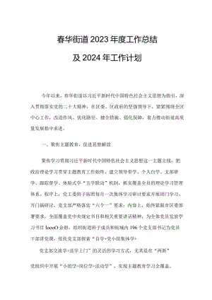 春华街道2023年度工作总结及2024年工作计划.docx