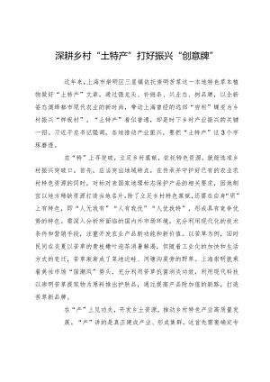 深耕乡村“土特产”打好振兴“创意牌”.docx