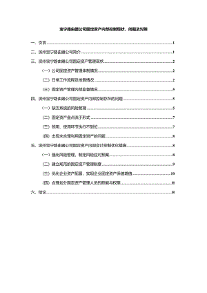 【《宝宁路由器公司固定资产内部控制现状、问题及对策》9600字】.docx