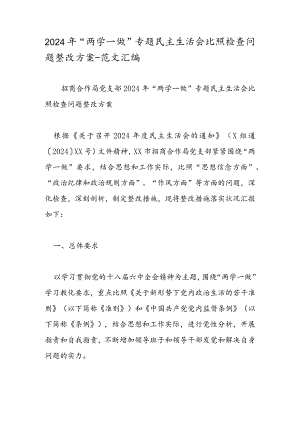 2024年“两学一做”专题民主生活会对照检查问题整改方案-范文汇编.docx