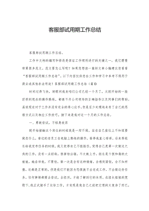 客服部试用期工作总结.docx