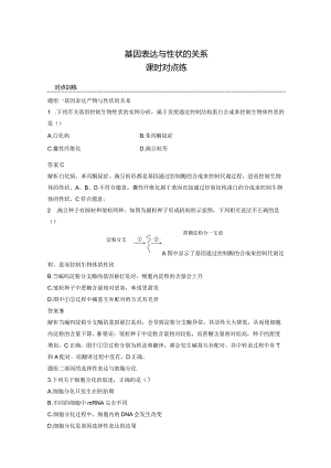 2023-2024学年人教版必修二基因表达与性状的关系作业.docx