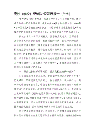 高校（学校）纪检队伍建设发展报告.docx