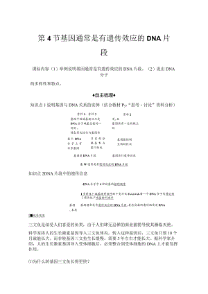 2023-2024学年人教版必修二基因通常是有遗传效应的DNA片段学案.docx
