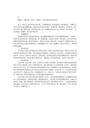 2024年“戴党徽、亮身份、树标杆”主题实践活动心得体会.docx