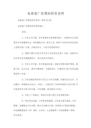 电商推广经理的职责说明.docx