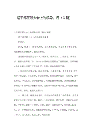 送干部任职大会上的领导讲话（3篇）.docx