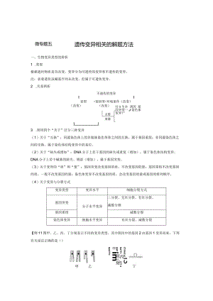 2023-2024学年人教版必修二微专题五遗传变异相关的解题方法学案.docx