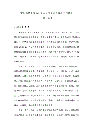 贯彻落实十四届全国人大二次会议政府工作报告心得体会5篇.docx