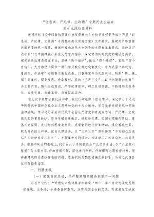 2024年“讲严立”班子对照检查材料.docx
