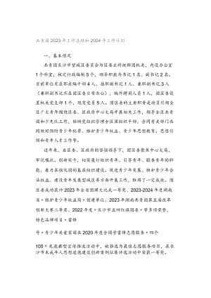 共青团2023年工作总结和2024年工作计划.docx