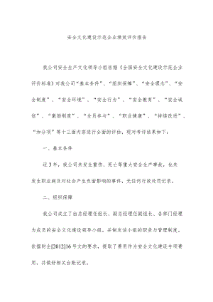 安全文化建设示范企业绩效评价报告.docx