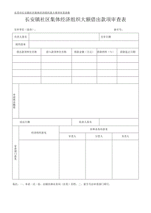 社区集体资产管理实施细则-附件21、大额借出款项审查表.docx
