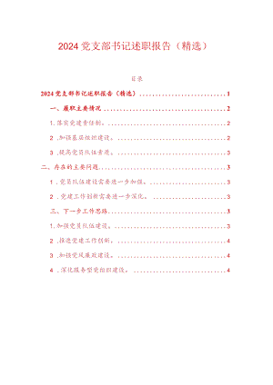 2024党支部书记述职报告（精选）.docx