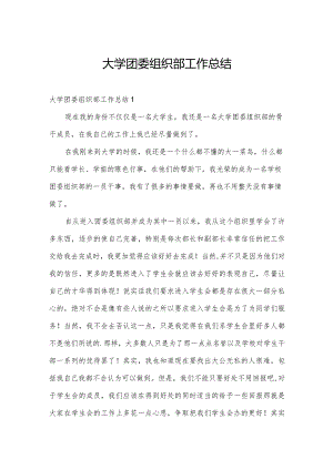 大学团委组织部工作总结.docx