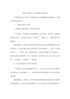 XX局党建工作问题整改情况报告.docx
